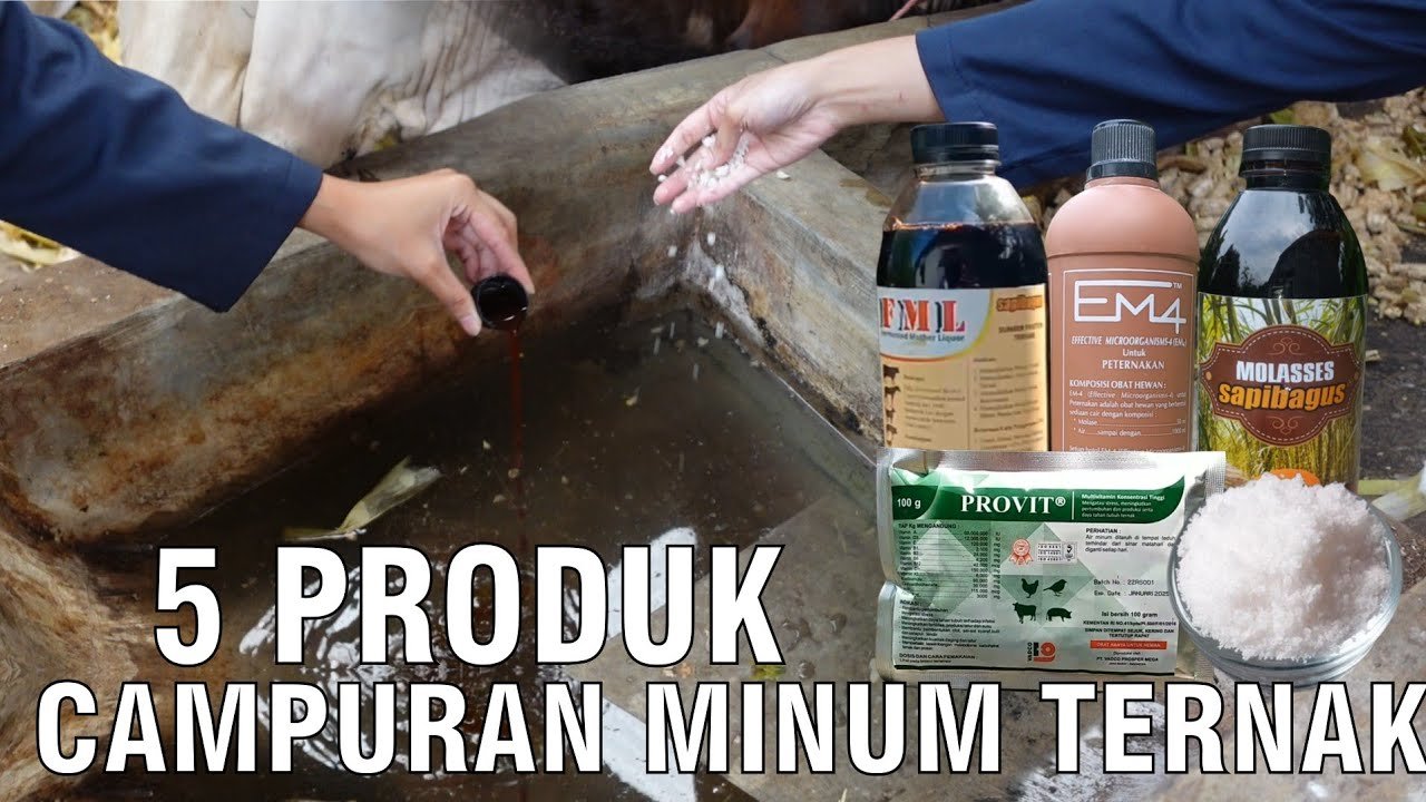 
                                 Produk-Campuran-Minum-Ternak-Sapi